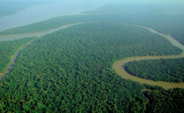 The Amazon Rainforest, home to hundreds of potential Stanford applicants. (Photo: Wikimedia Commons)