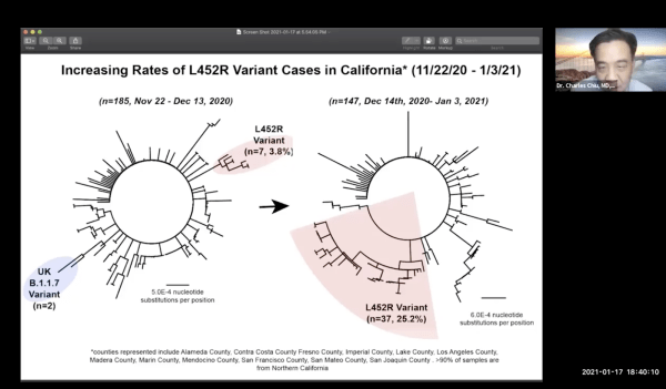Images of phylogenetic trees from the virtual press event on Sunday demonstrate that the L452 mutation was found in 3.8% of specimens within Dr. Chiu’s lab between late November and early December, before increasing to 25.2% a month later. (Source: County of Santa Clara Public Health Department)
