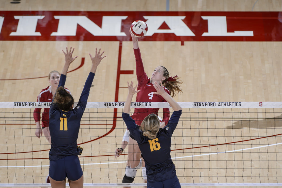 Women’s volleyball sweeps Cal for first win of season The Stanford Daily