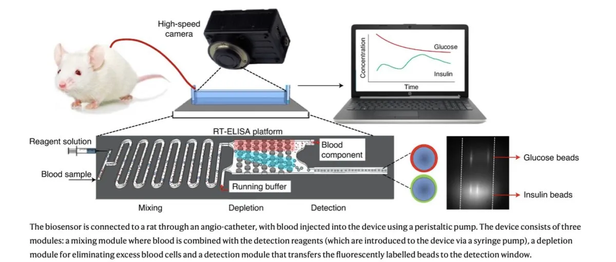 Stanford researchers develop real-time biosensor for continuous blood concentration monitoring