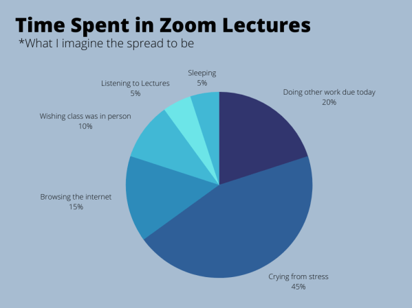 Time Spent in Zoom Lectures (1)