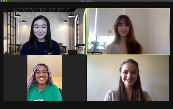 A Zoom screenshot of the SPINWIP student organizer team.