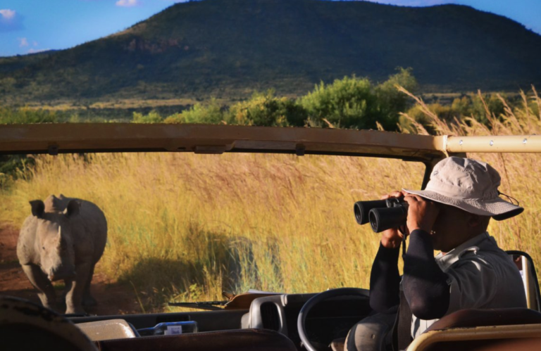 A man with binoculars looks out next to a Rhino.