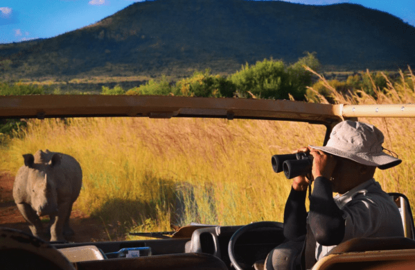 A man with binoculars looks out next to a Rhino.