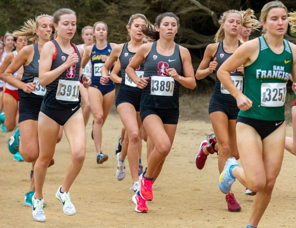 A pack of runners in a cross country race.