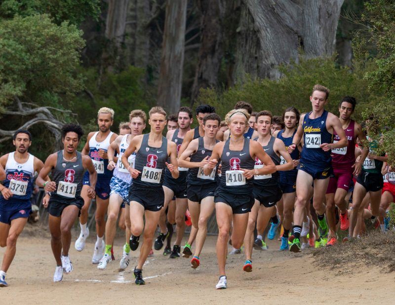 A large group of runners runs through a cross country course.