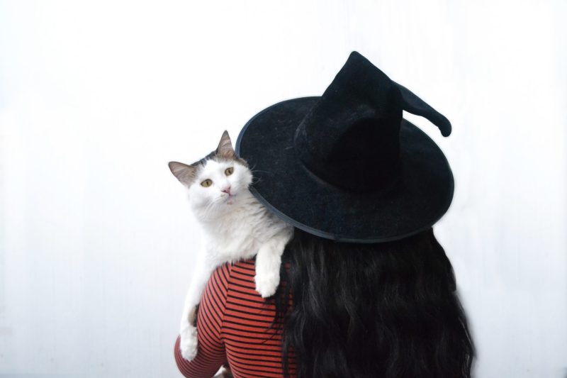 woman in witch hat carrying white cat over shoulder