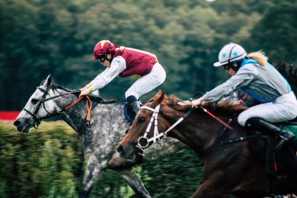 a jockey in red riding a white and grey house ahead of a jockey in grey riding a brown horse