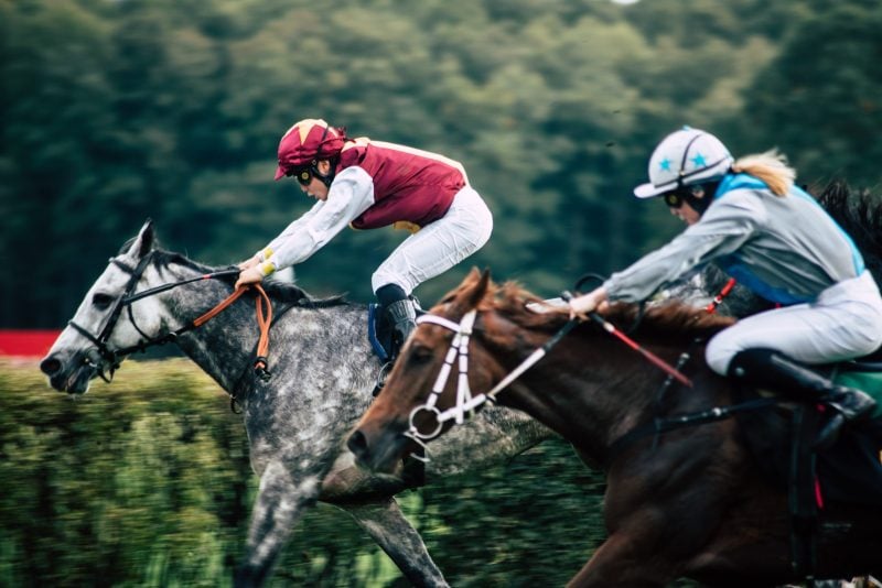 a jockey in red riding a white and grey house ahead of a jockey in grey riding a brown horse