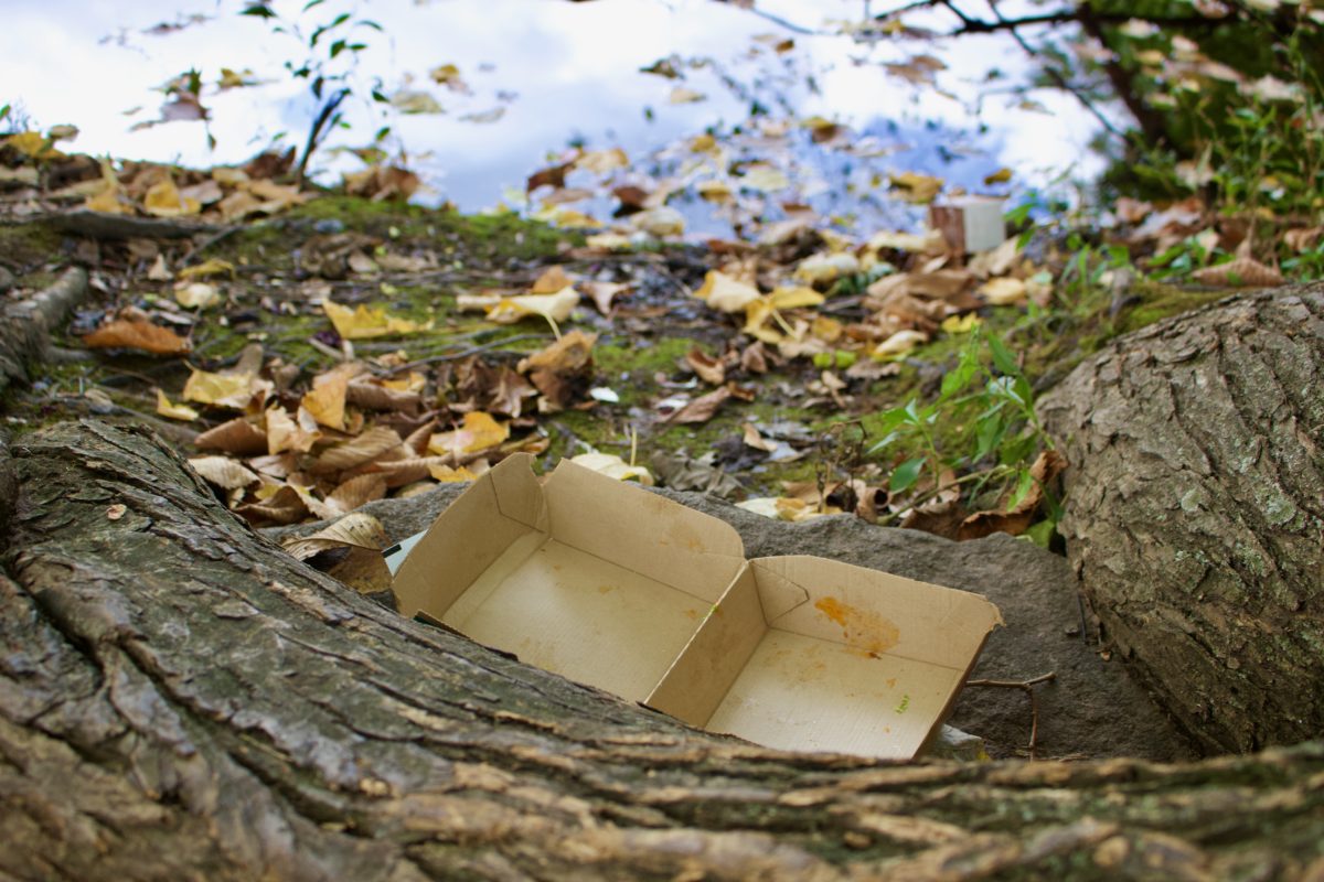 A carboard food container by a tree trunk by water.