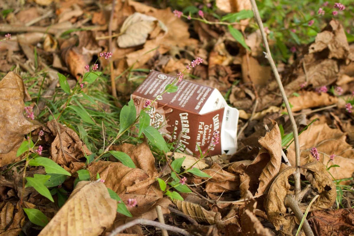 A milk carton laying among flowers and leaves on the ground.