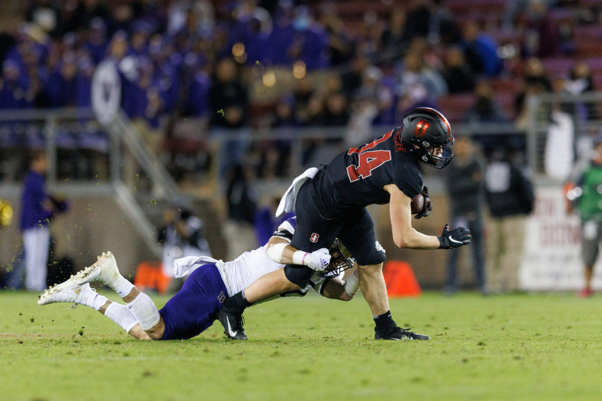 Stanford football player Benjamin Yurosek runs while Washington defense player grabs his leg. Crowd in the stands in the background.