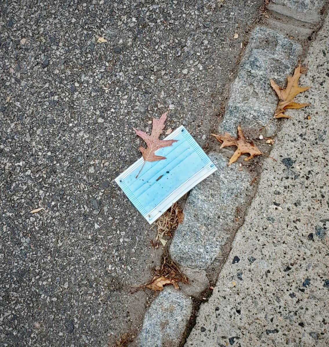 A surgical mask lies on the road with leaf litter.
