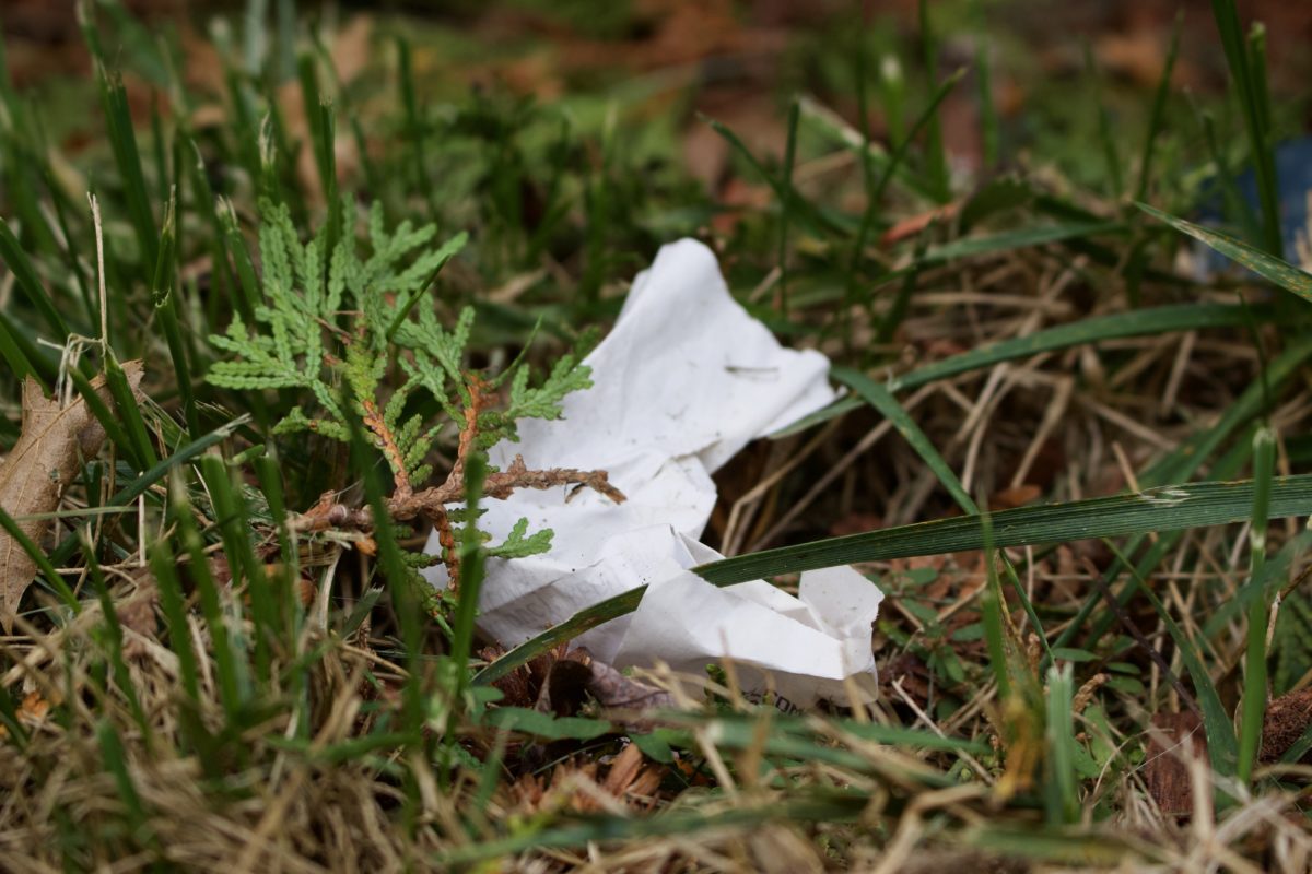 Crumpled paper on grass