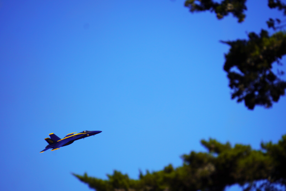 A single jet flies behind a treeline.
