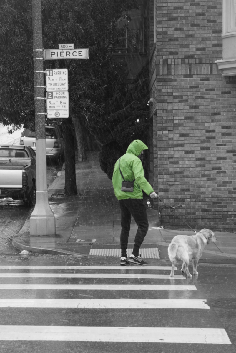 A man walks his dog during the storm. The man's jacket shines green while everything else is pictured grayscale.