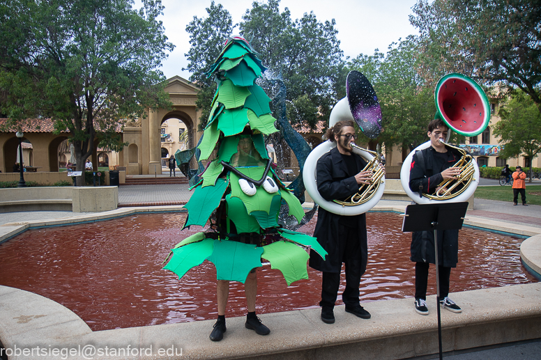 The tree and two band members with tubas stand in front of the fountain in White Plaza. The fountain's water is dyed red.