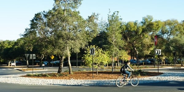 A biker biking around a roundabout on Stanford's campus