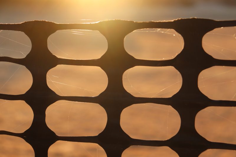 The sun shines from behind a black plastic fencing with repeating oval wholes arranged in a grid-like pattern.