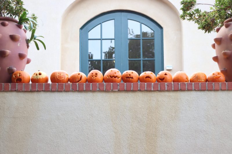 Lagunita Court. 12 carved pumpkins arranged along the top of a brick wall. with potted plants on either side, in front of a glass window.