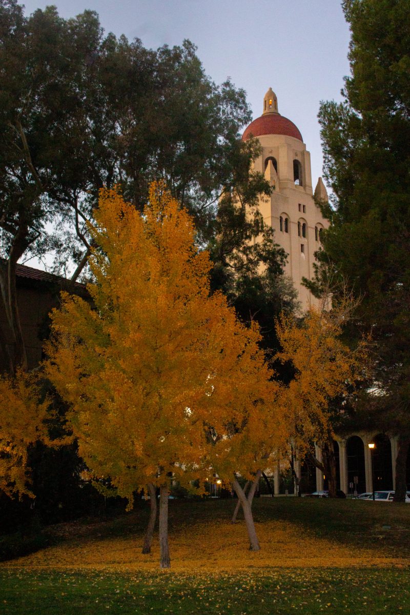 A yellow-leaved tree stands between two green-leaved trees with Hoover Tower in the background.
