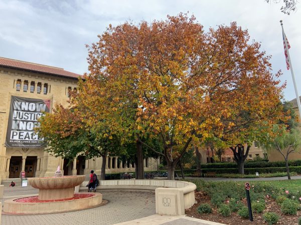 An autumnal tree stands in front of Green Library as the fountain spews red-dyed water.