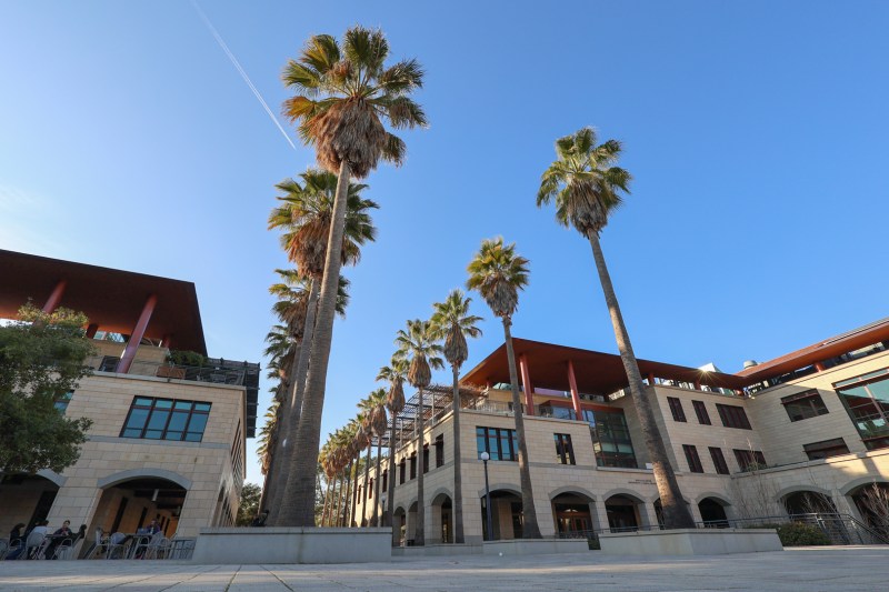 Wide angle shot of palm trees lining the Stanford Engineering Quad.