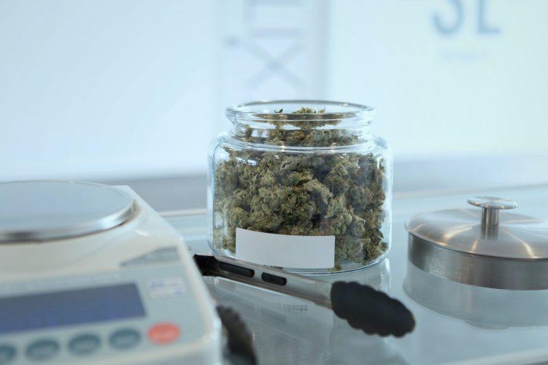 a glass jar of cannabis leaves in a scientific lab
