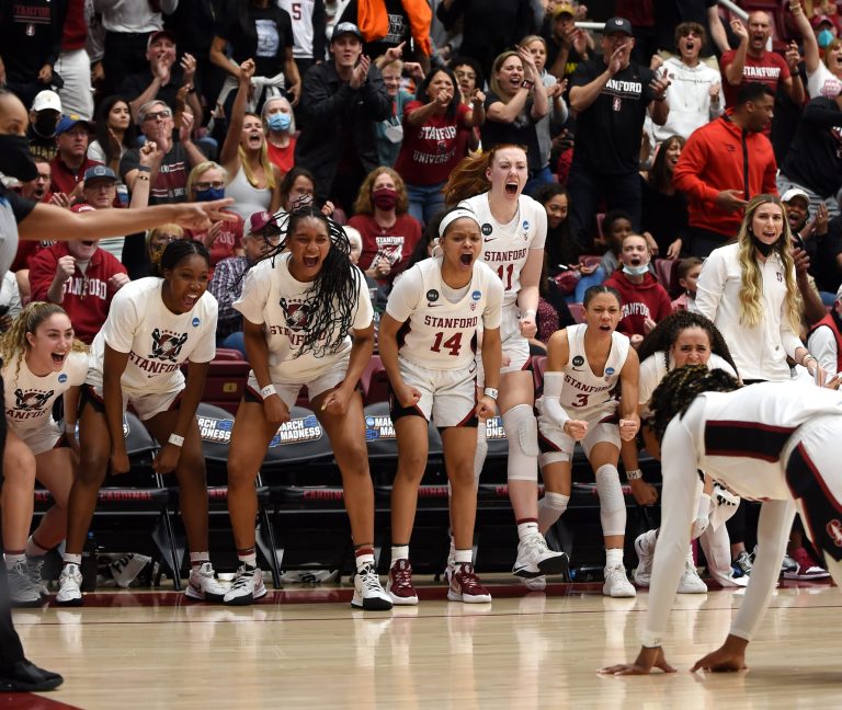 The bench celebrates as Belibi slides towards them.