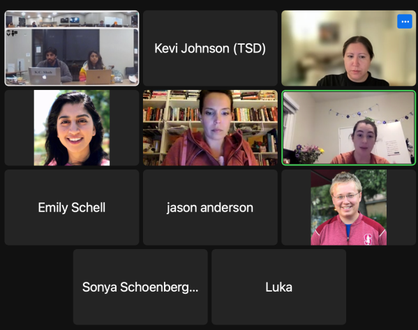 Screenshot of the graduate student council meeting on March 10.