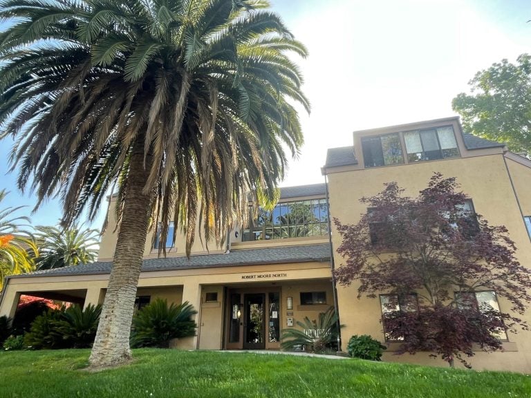 A photo of the Well House, with a palm tree in the foreground