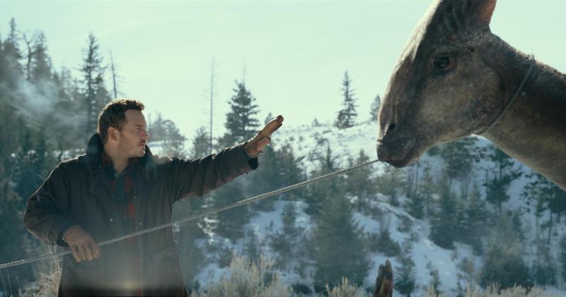 Chris Pratt holds his hand up to a dinosaur.