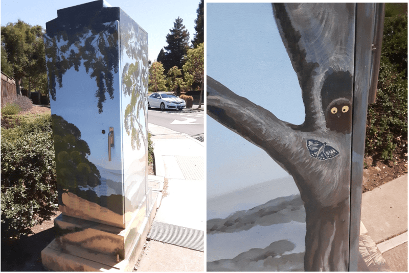 Utility box art brings vibrant creativity to Belmont