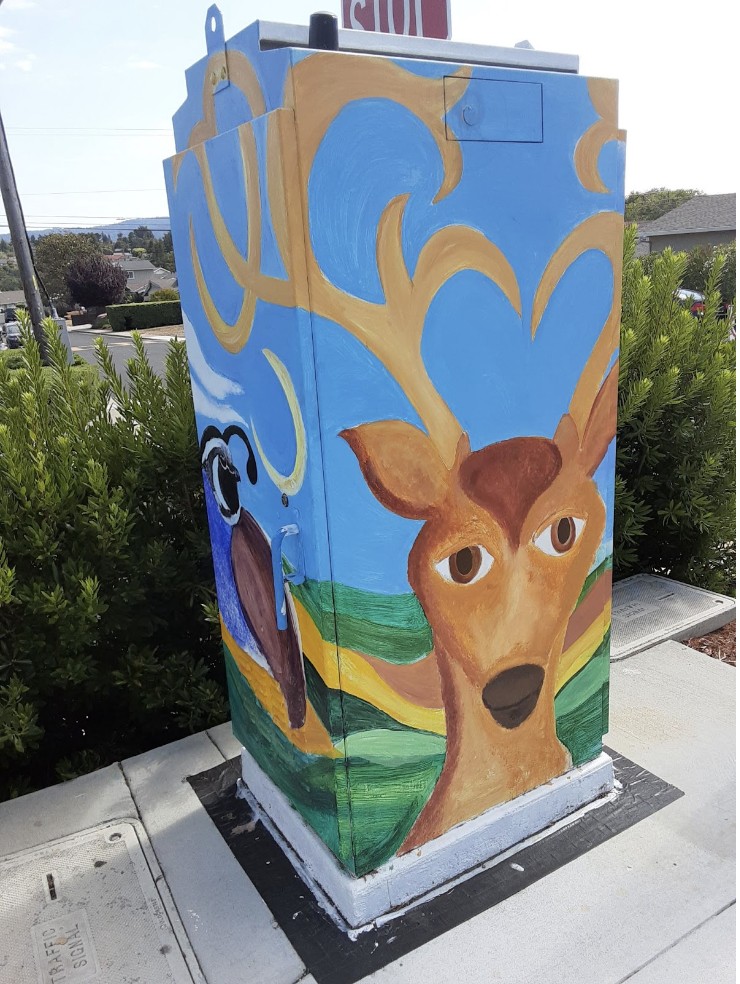 Utility box art brings vibrant creativity to Belmont
