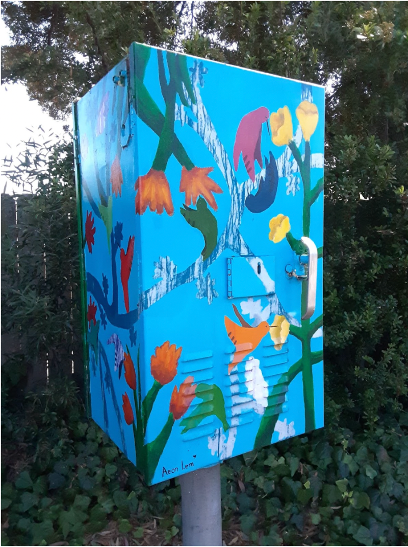 Utility box art brings vibrant creativity to Belmont