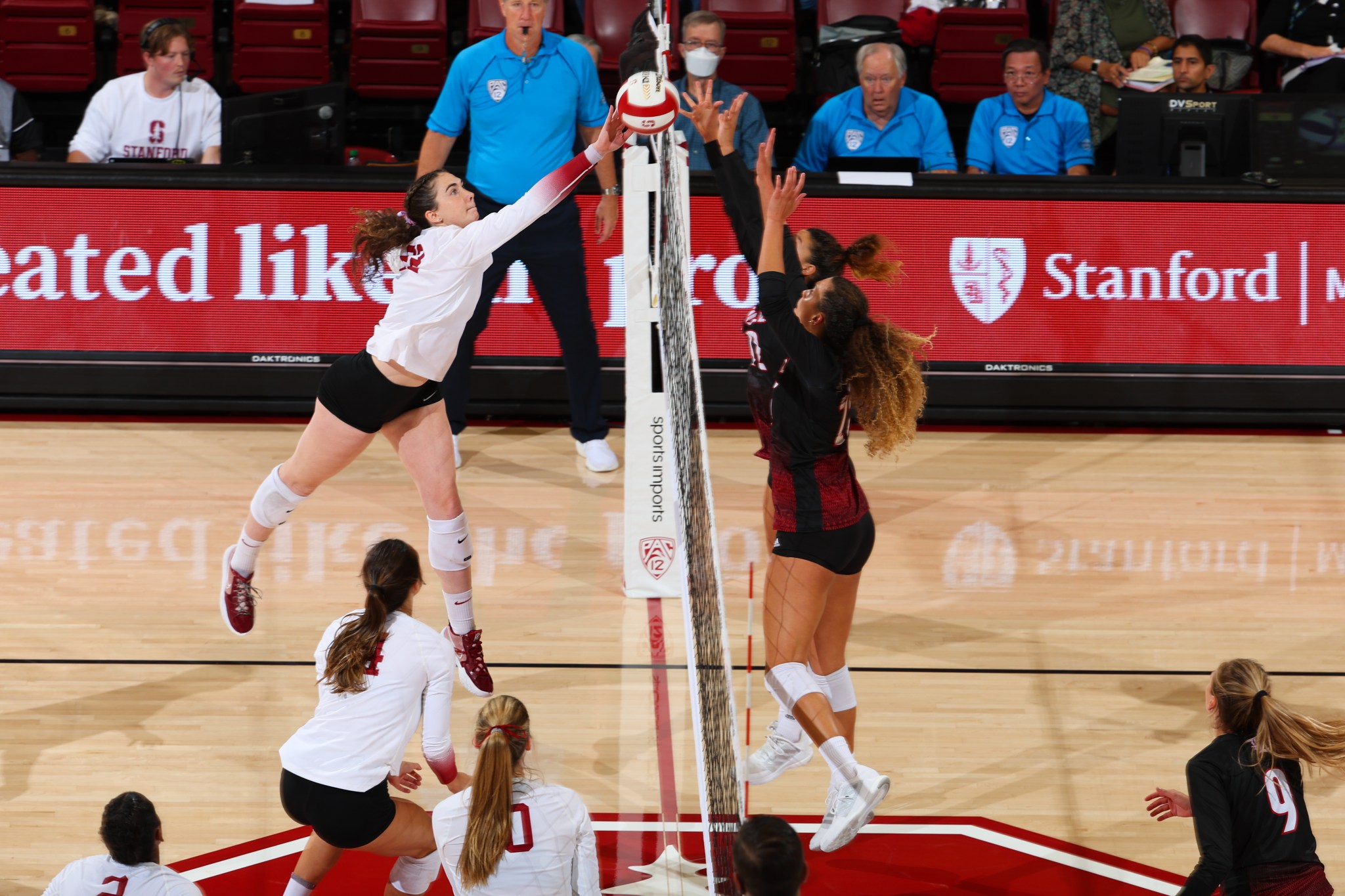 Cardinal Vs Cardinals Womens Volleyball Falls Ahead Of Conference Play The Stanford Daily