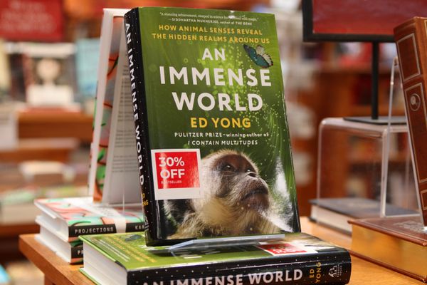 Ed Yong's book "An Immense World"