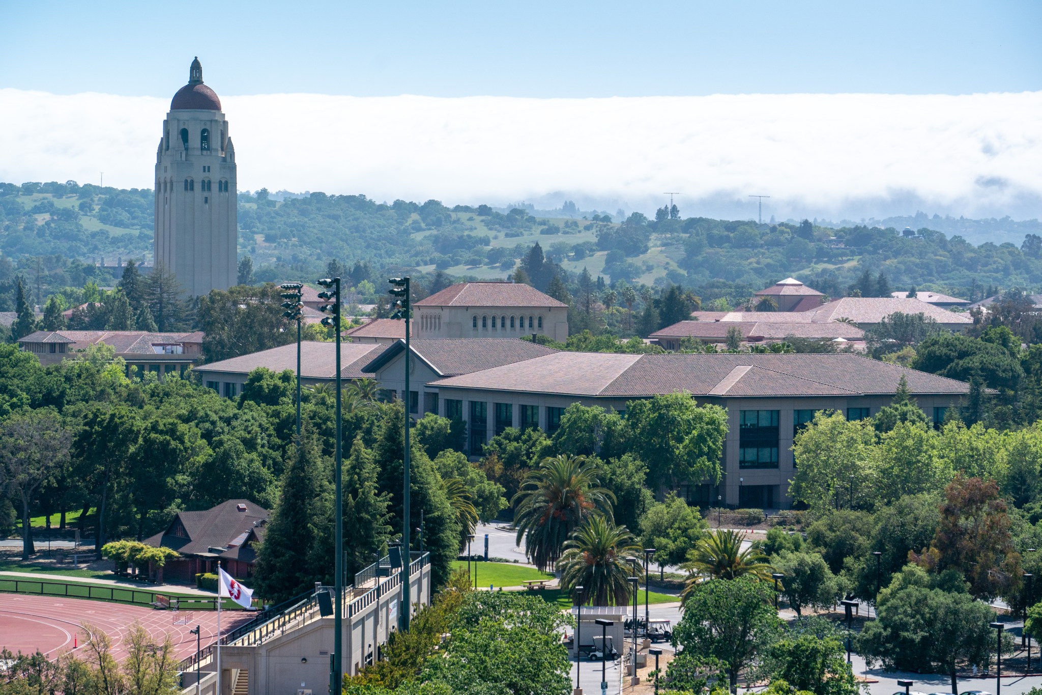 Looking back at Stanford Athletics' since November 2018 - Vimarsana News
