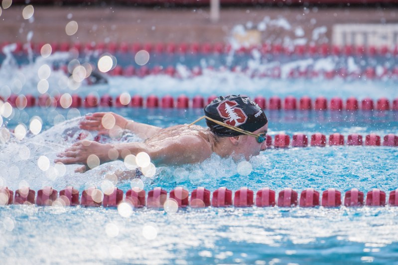 Emma Wheal swims during a meet against Arizona State