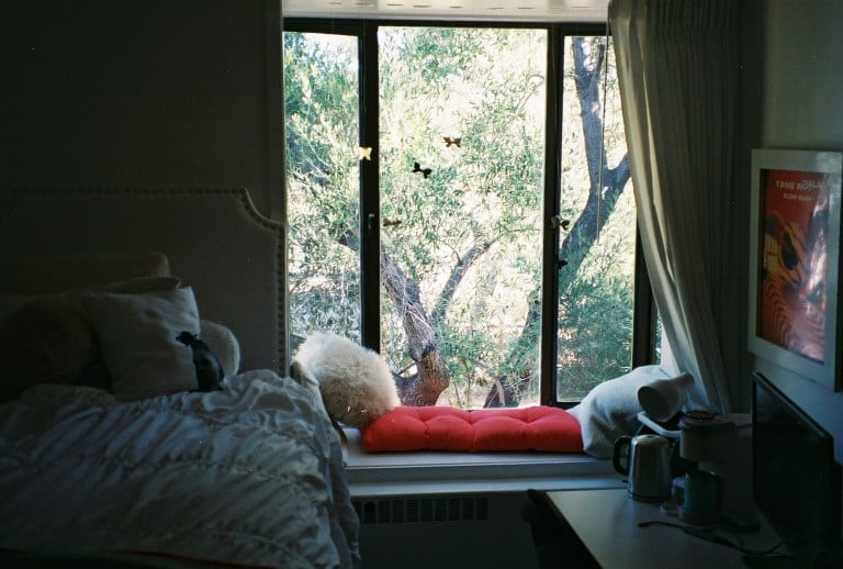 Izzy's room and window view.