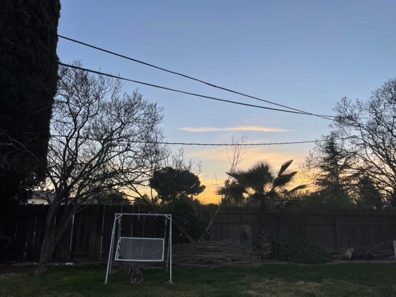 A wooden fence encloses a grassy yard. There is a tree on the left side and some kind of white swing-like structure in the middle. The sun is setting.