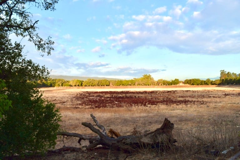 An empty lake lag with brown grass at the basin