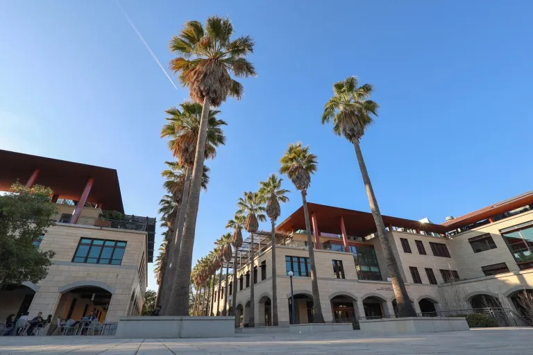 Palm trees straddled by light-colored buildings.