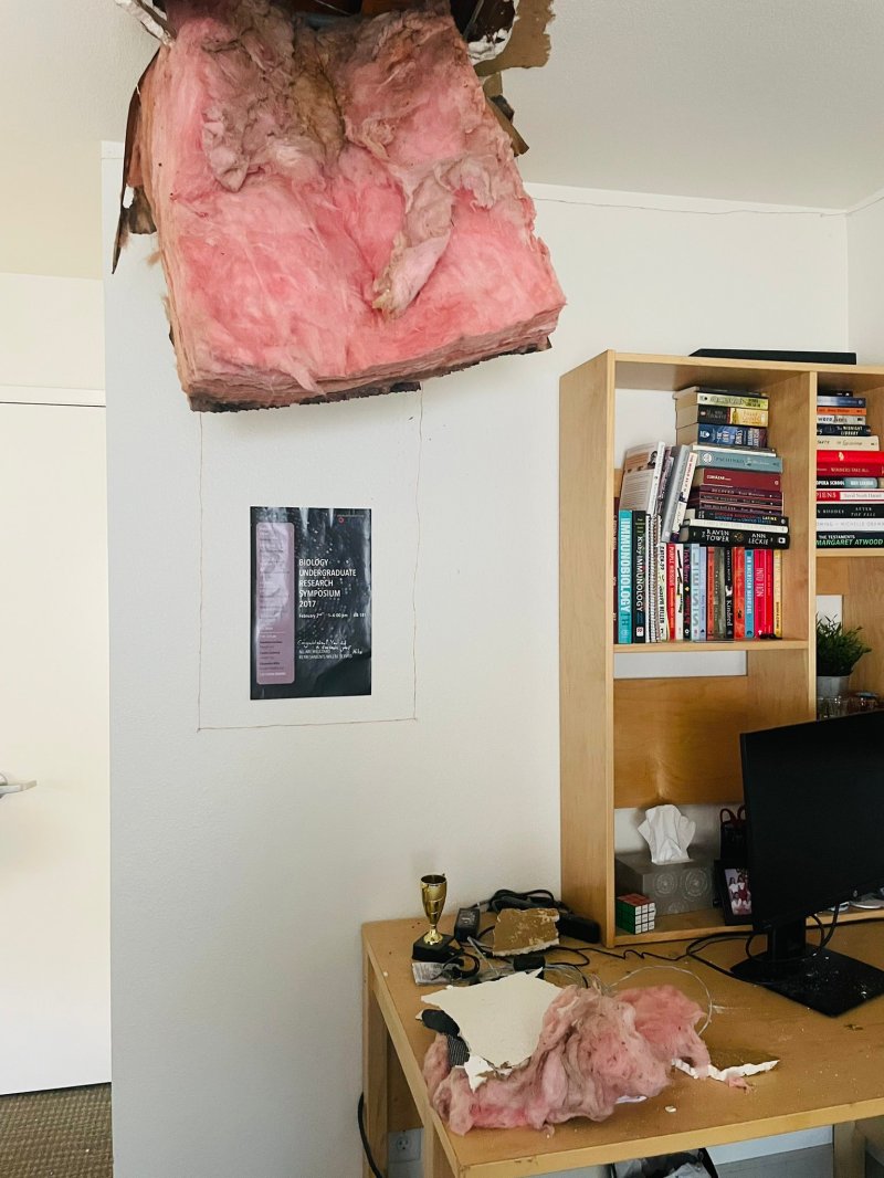 Pink insulation falls out of hole in the ceiling of a dorm room after a man falls through it.