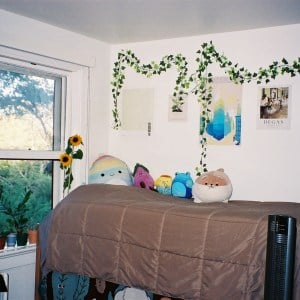 A bed against a decorated wall and sunny view outside of the window.