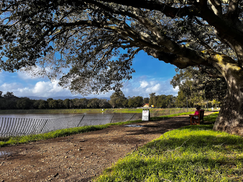 Two people sit on a shaded bench overlooking the waters of Lake Lagunita. After a slew of rainy days, residents of Stanford and surrounding areas took in the lake’s beauty on a sunny Sunday morning.