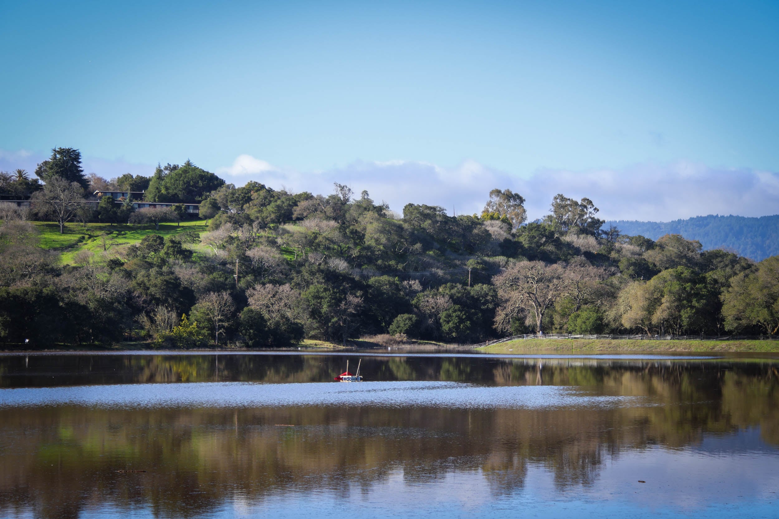 Photo Gallery Lake Lagunita Lives!
