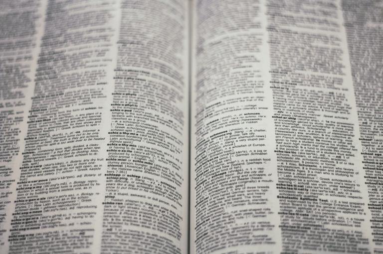 Close-up of dictionary page.