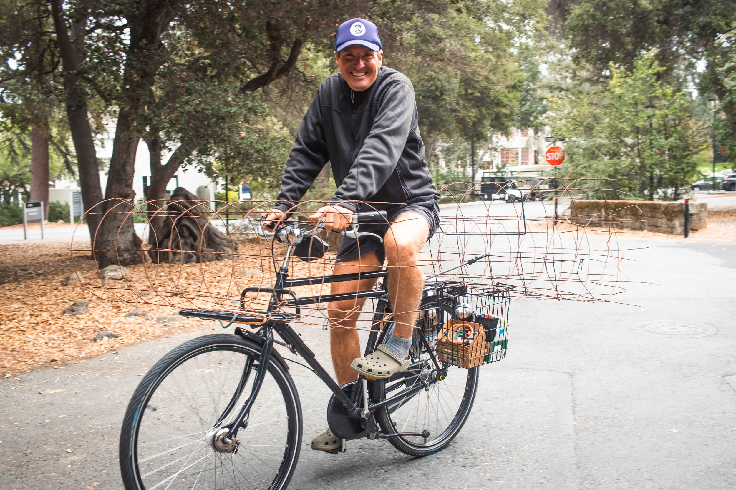 Conrad rides his bike through campus with large tomato trellises hanging off the back.
