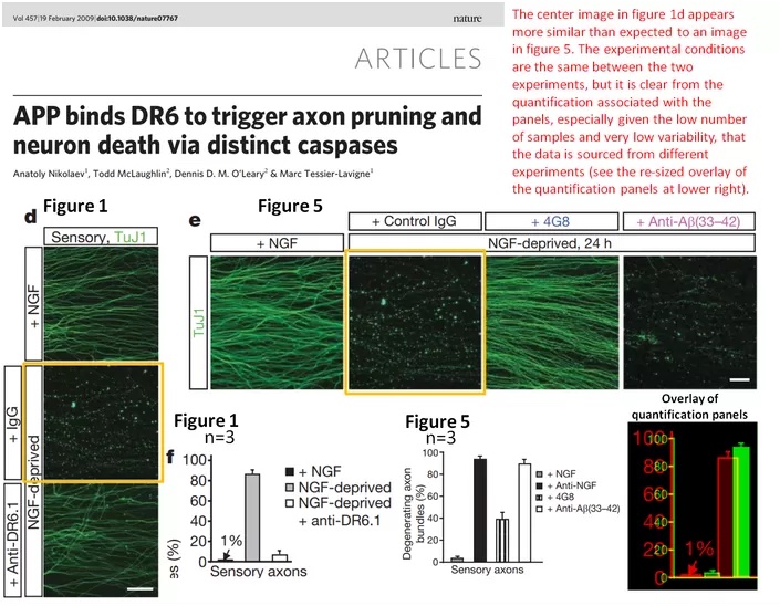 APP binds DR6 to trigger axon pruning and neuron death via distinct caspases Figures 1 and 5 show two similar-looking frames.